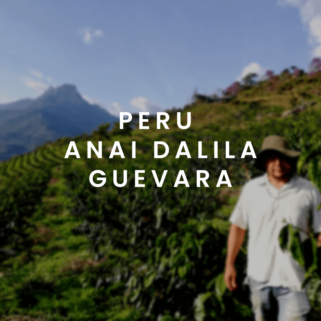 PERU ANAI DALILA GUEVARA