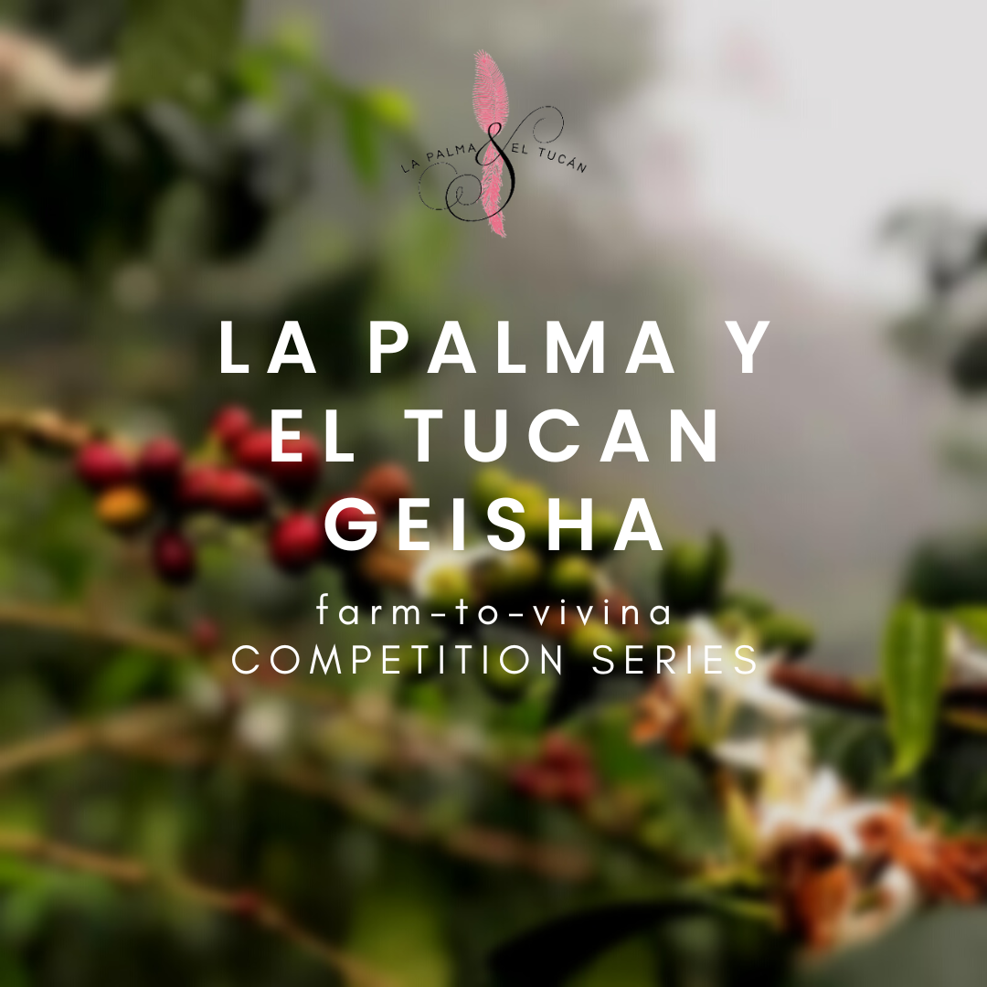 VIVINA COMPETITION SERIES – LA PALMA Y EL TUCAN GEISHA  (100 g)