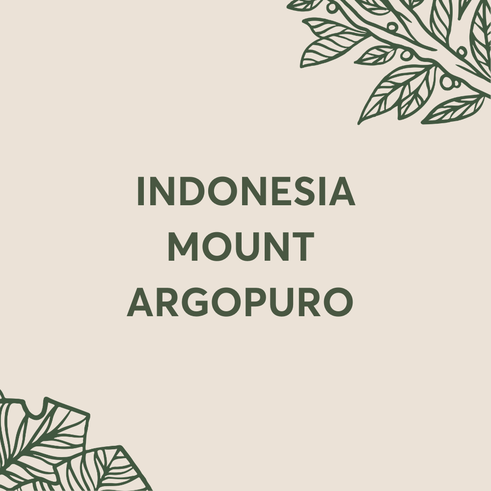 INDONESIA MOUNT ARGOPURO