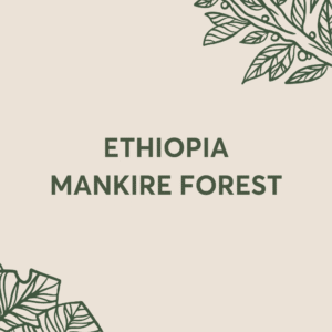 MANKIRE FOREST • ETHIOPIA